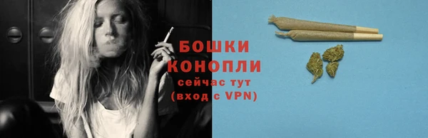 гашик Осинники