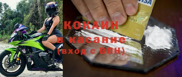 гашик Осинники